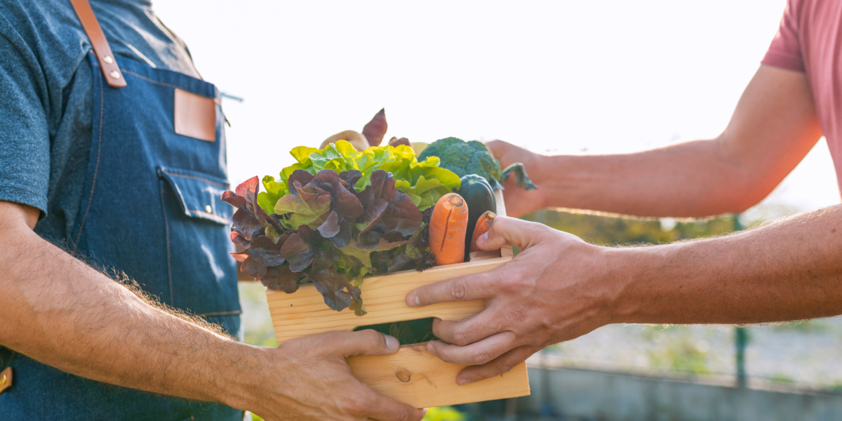 Commerce local Lumis Traiteurs Commerce local Lumis Traiteurs